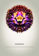 海报广告设计代理代办 打造视觉冲击力，轻松提升品牌影响力